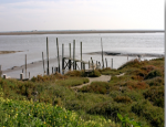 imagem estuario vale rio tejo