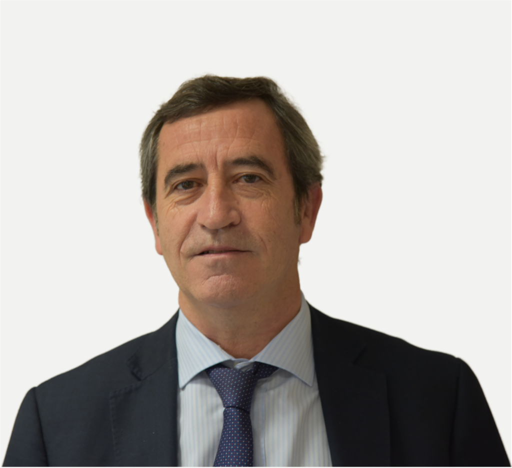 VP Alho Cinza