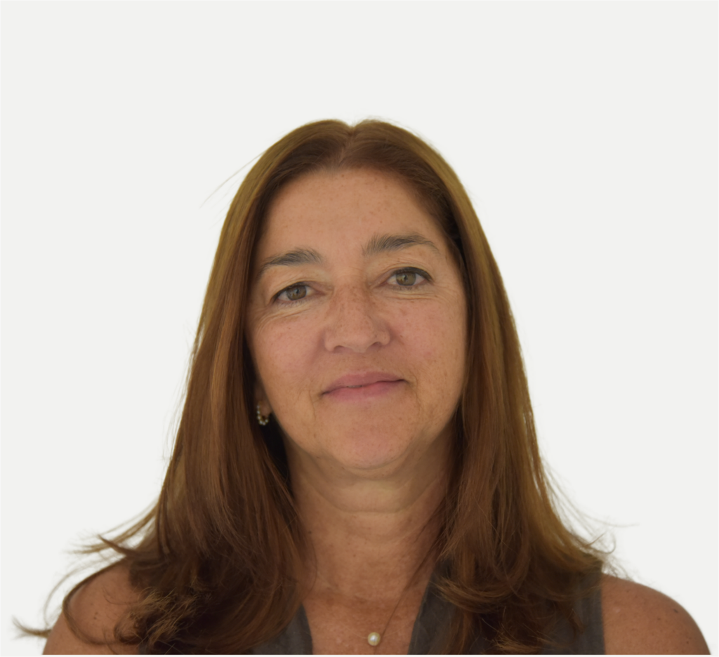 VP Rita Barradas Cinza