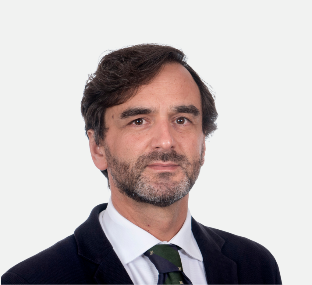 VP Rui Palmeiro Cinza