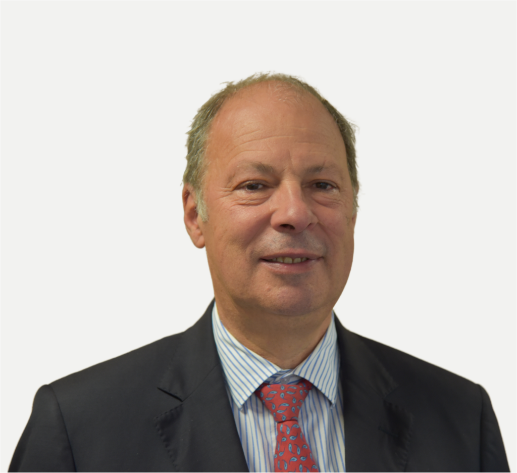 VP Sardinha Cinza