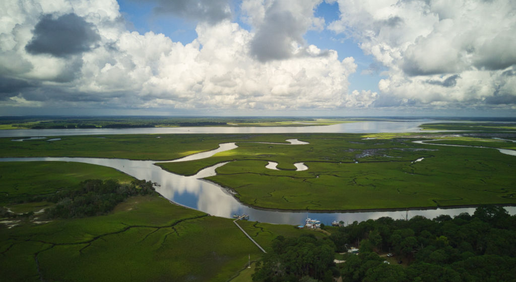 Estuario Tej