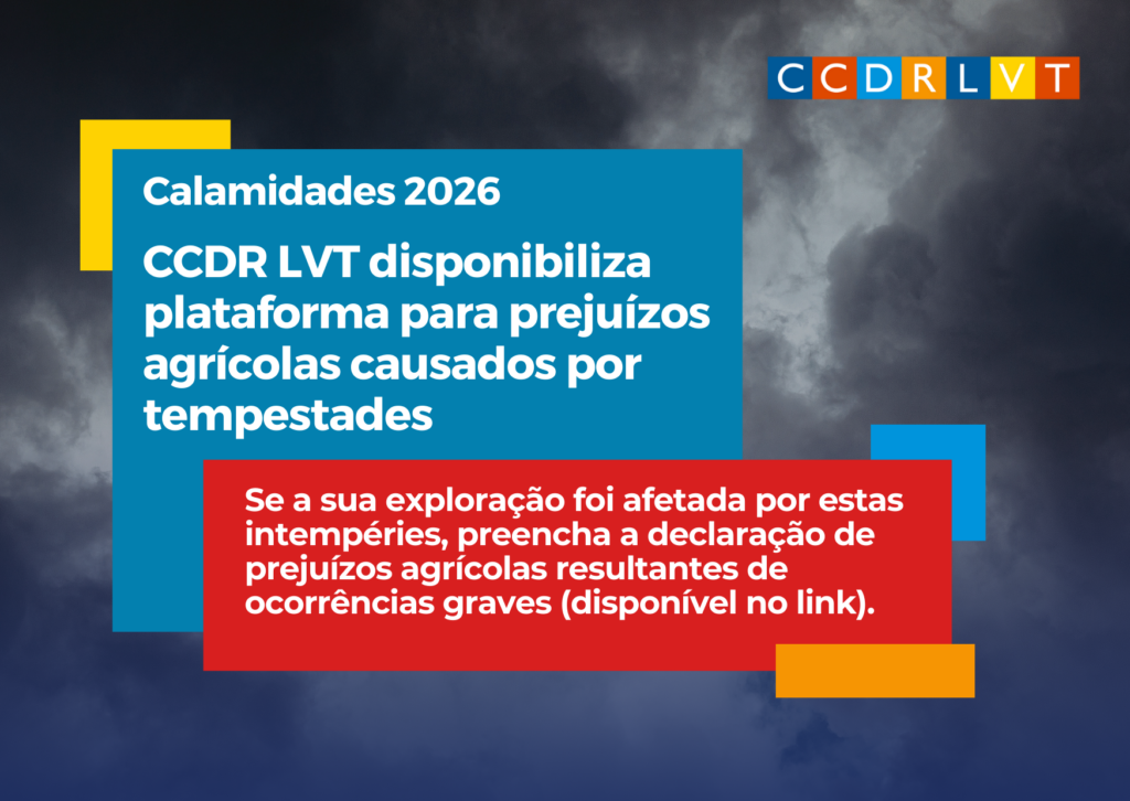 Divulgacao Redes Sociais 32