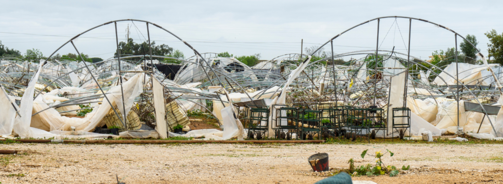 Intervencao C.4.1.3 Restabelecimento do potencial produtivo