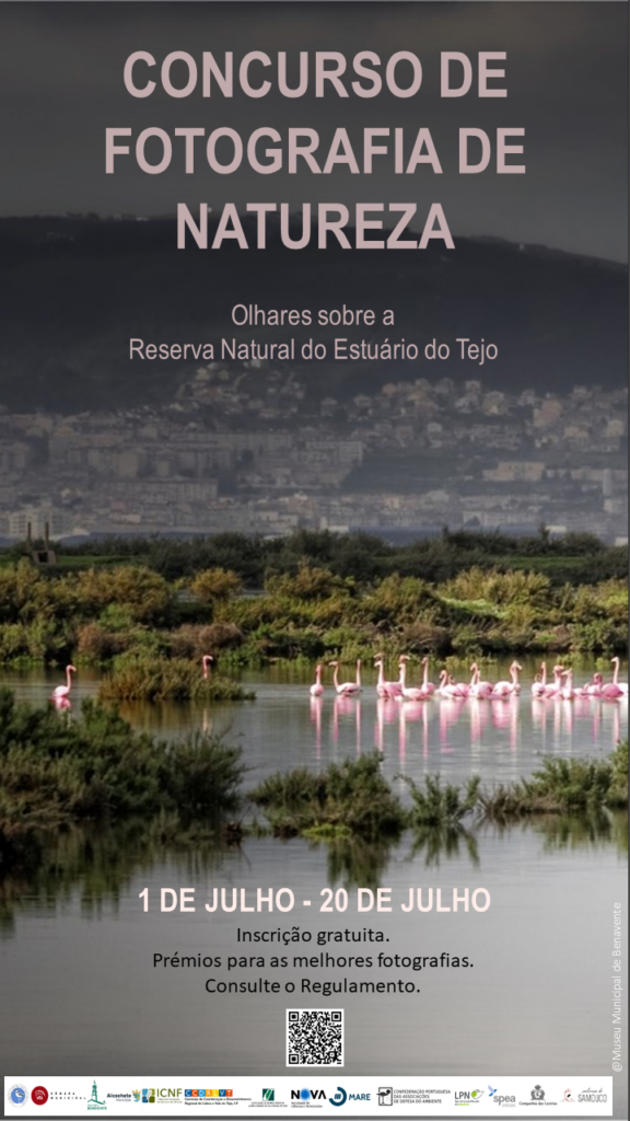fotografia ccdr lvt estuario tejo